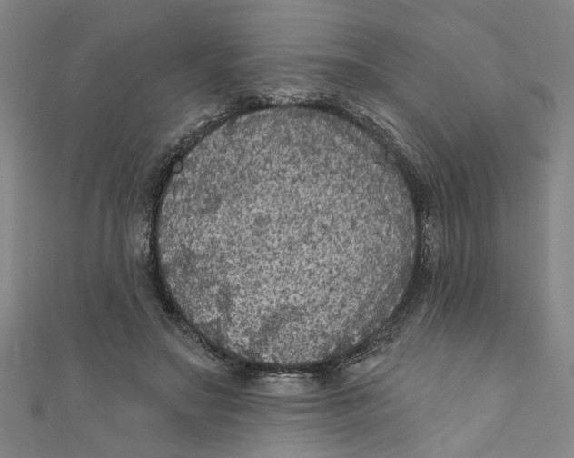 X0000110940499200907101250