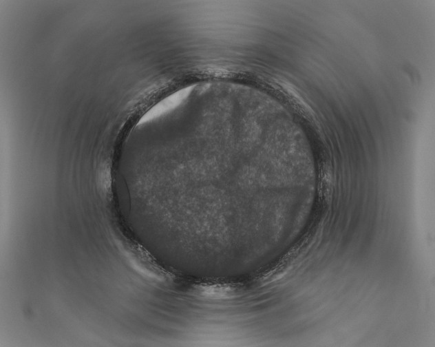X0000110940500200907101249