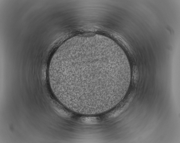 X0000110940501200907101249