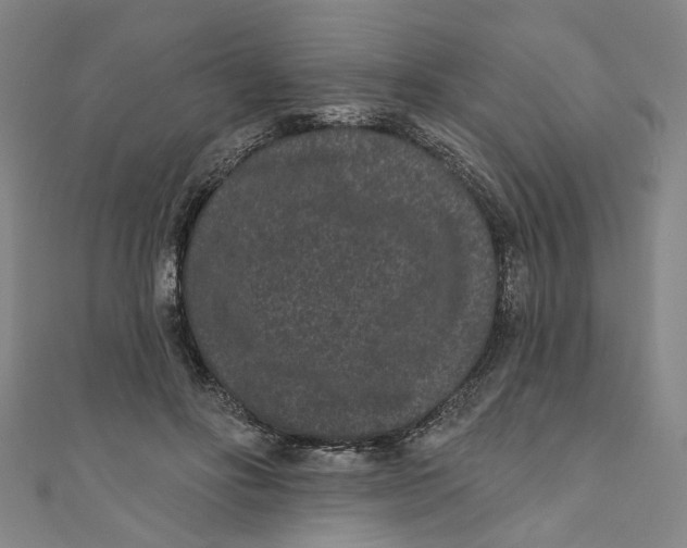 X0000110940502200907101249