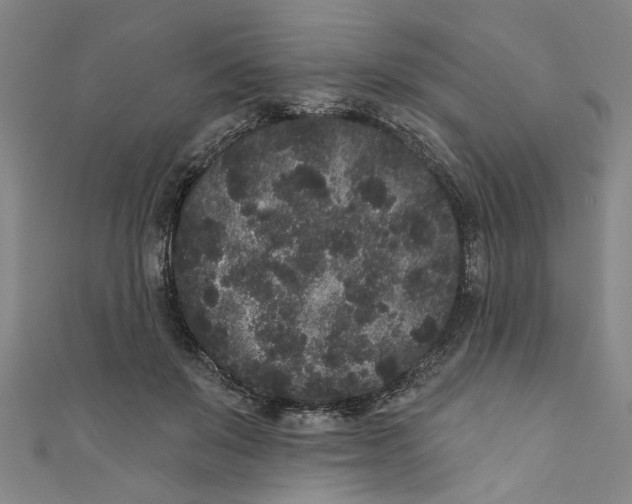 X0000110940503200907101249