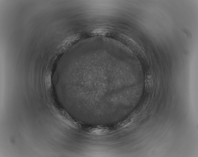 X0000110940504200907101249