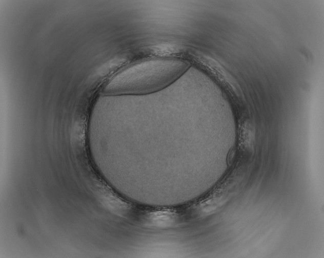 X0000110940505200907101249