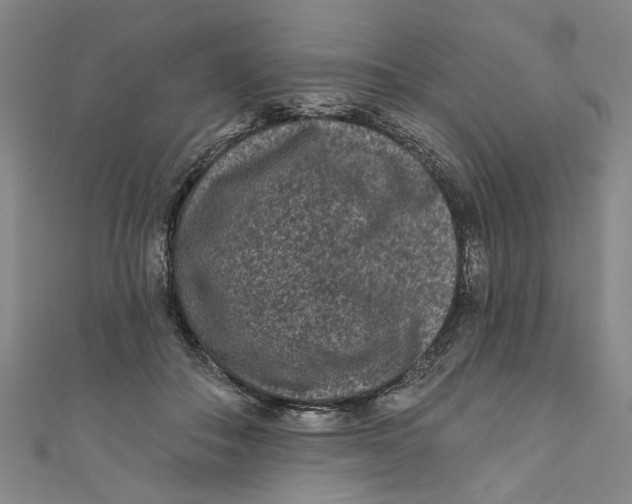 X0000110940506200907101249