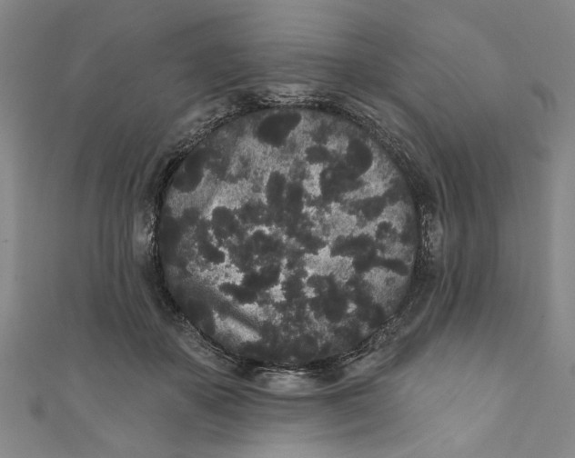 X0000110940507200907101249