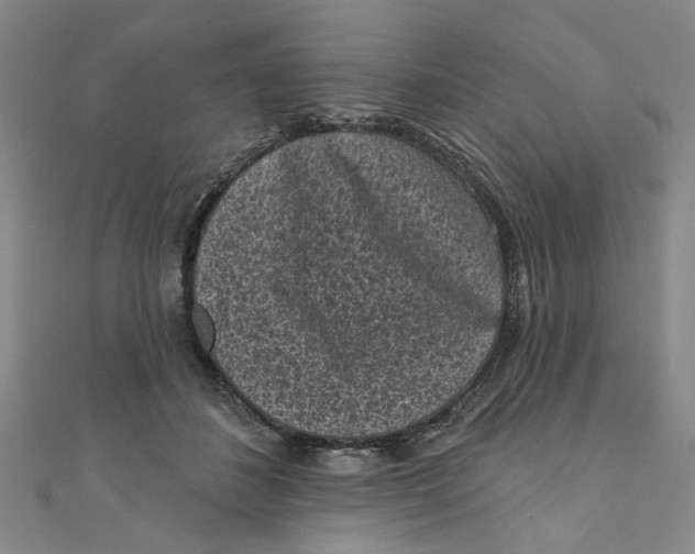X0000110940508200907101249