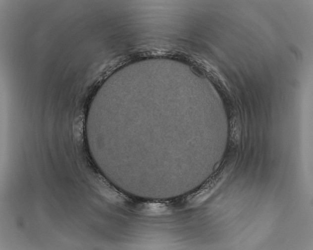 X0000110940509200907101249