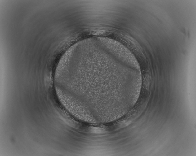 X0000110940510200907101249
