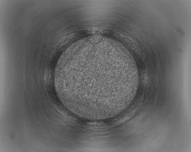 X0000110940511200907101249