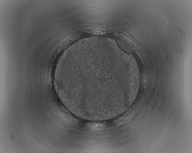 X0000110940512200907101249