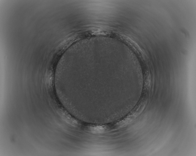 X0000110940513200907101249