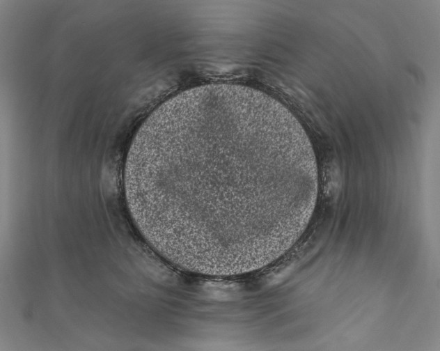 X0000110940515200907101249
