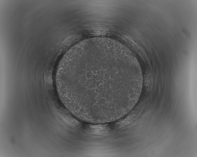 X0000110940516200907101249
