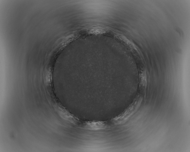 X0000110940517200907101249