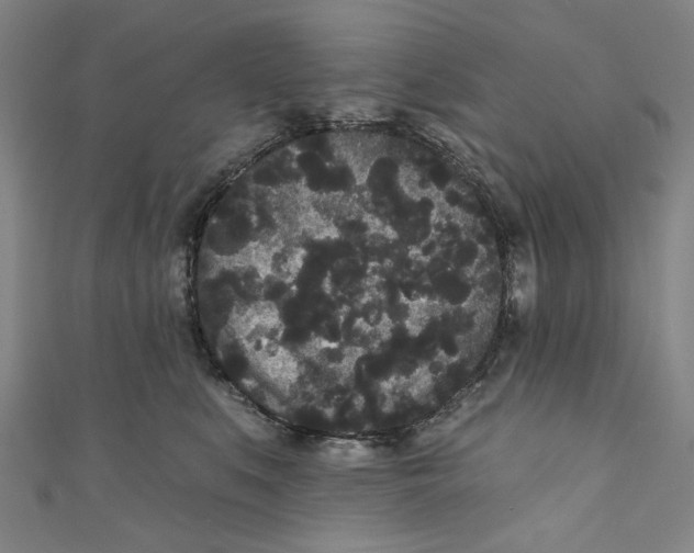 X0000110940519200907101249