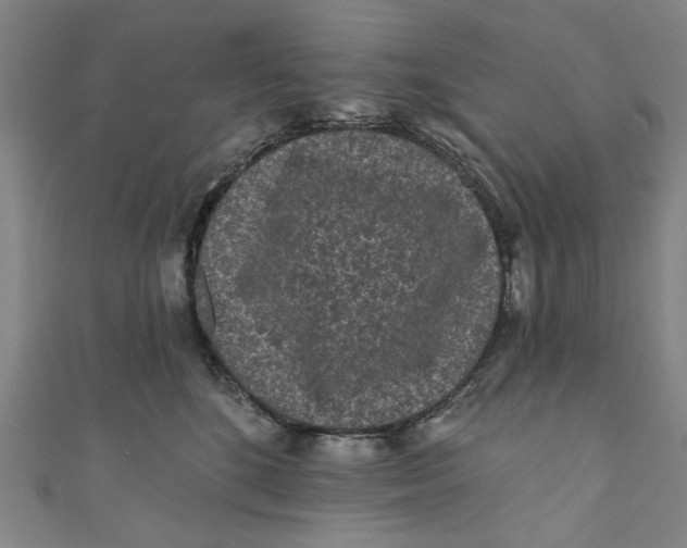 X0000110940520200907101249