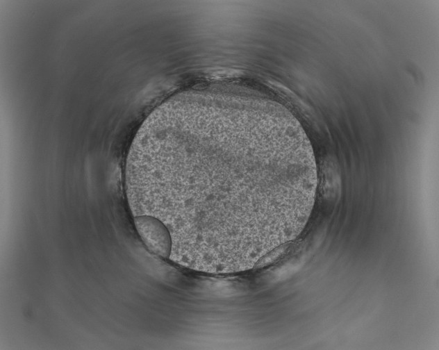 X0000110940523200907101249