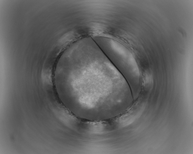 X0000110940524200907101249
