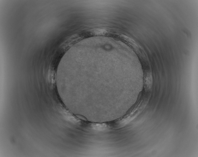 X0000110940525200907101249