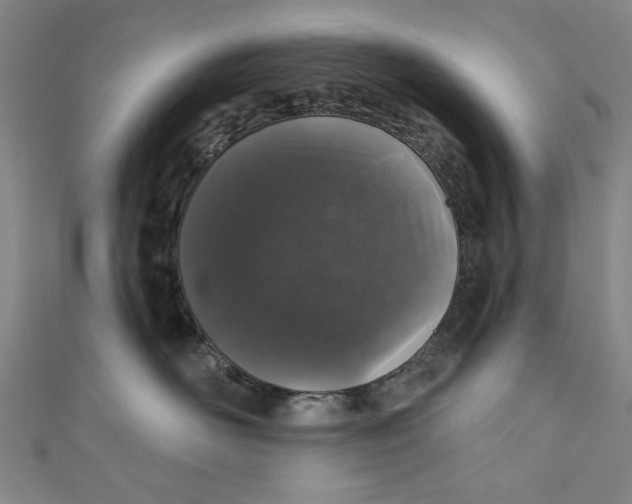 X0000110940526200907101249