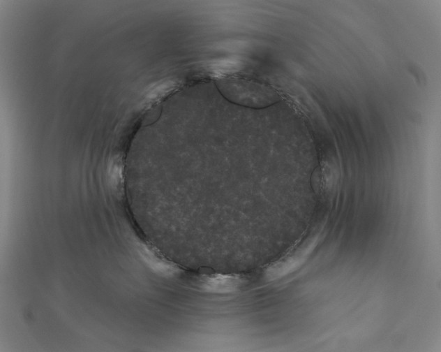 X0000110940527200907101249
