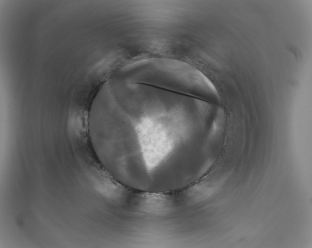 X0000110940528200907101249