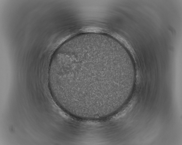 X0000110940529200907101249