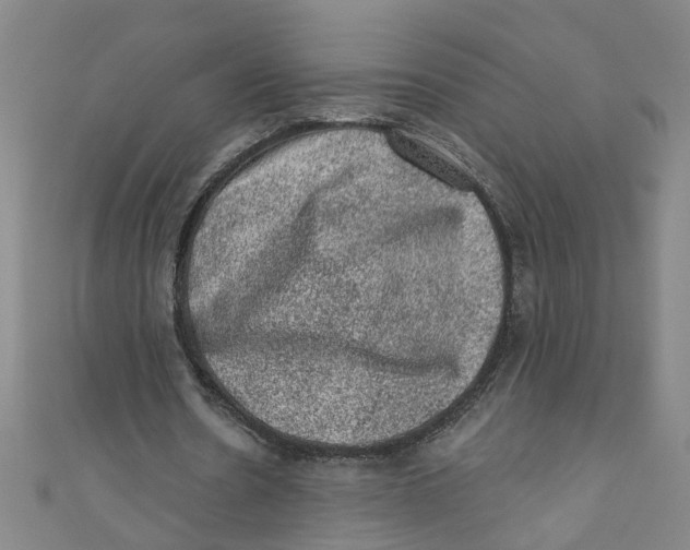 X0000110940530200907101249