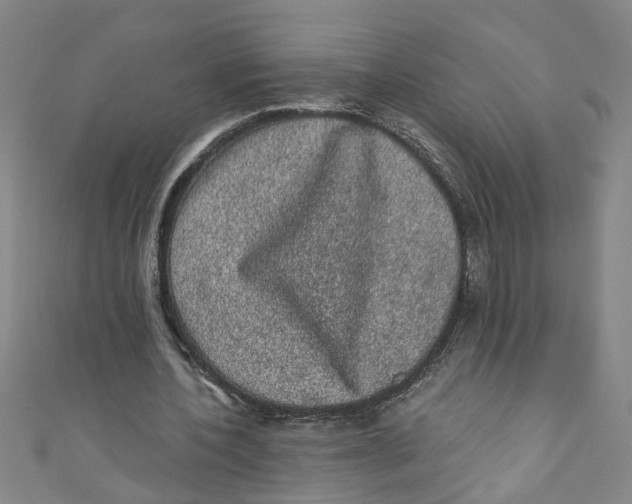 X0000110940532200907101249