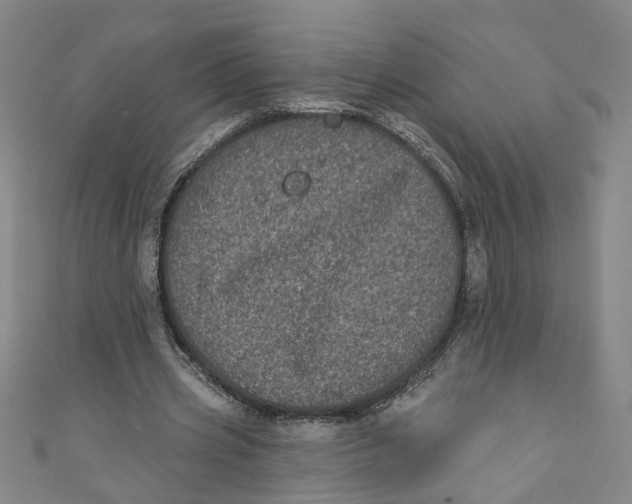 X0000110940533200907101249