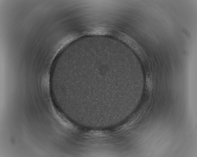X0000110940534200907101249