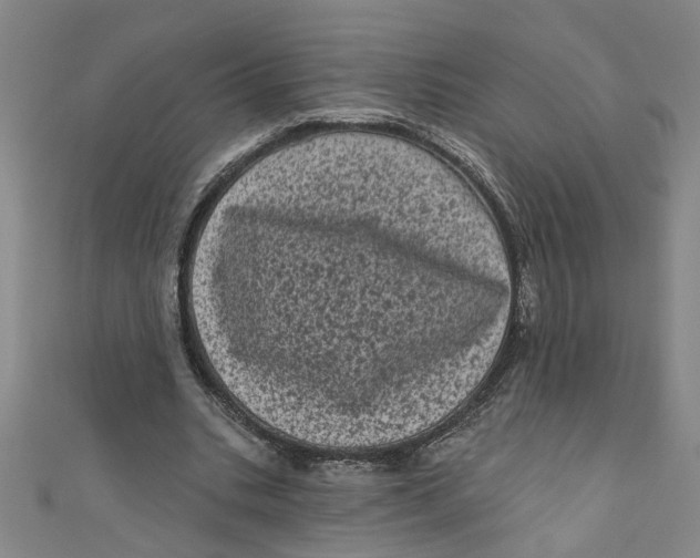 X0000110940535200907101249