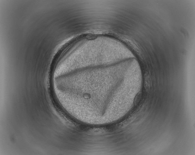X0000110940536200907101249