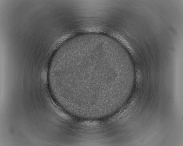 X0000110940537200907101249