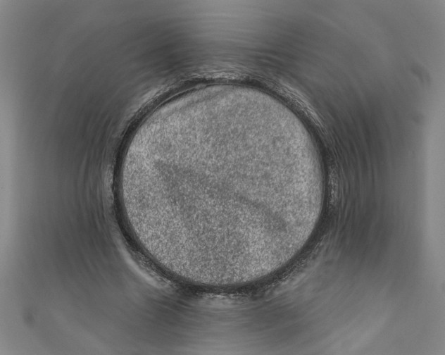 X0000110940538200907101249