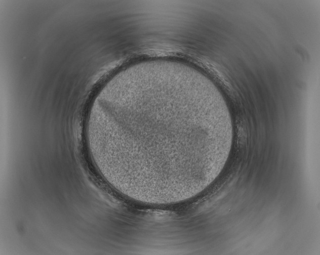X0000110940539200907101249