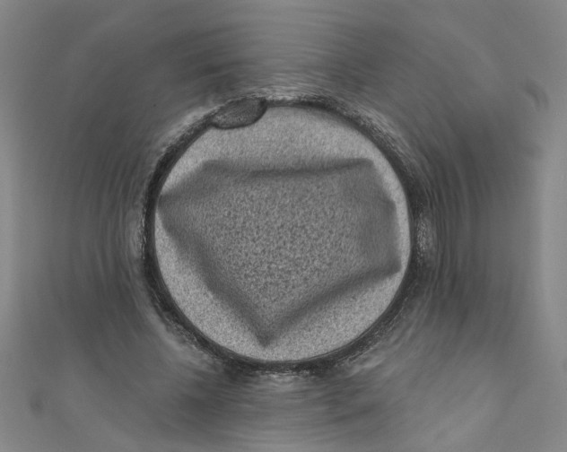 X0000110940540200907101249