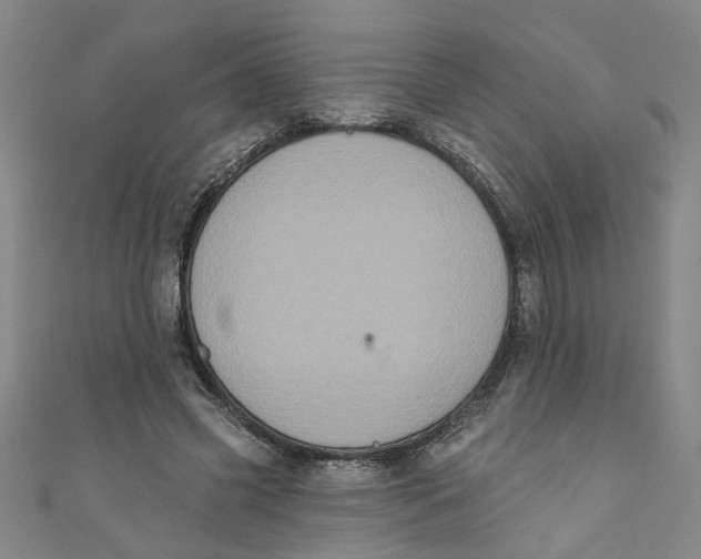 X0000110940541200907101249