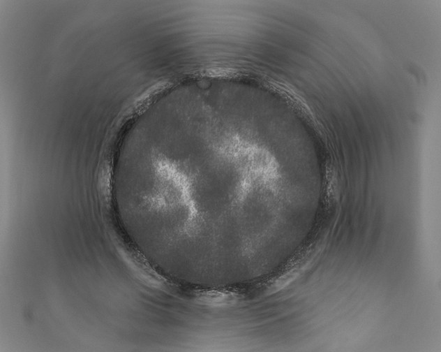 X0000110940542200907101249
