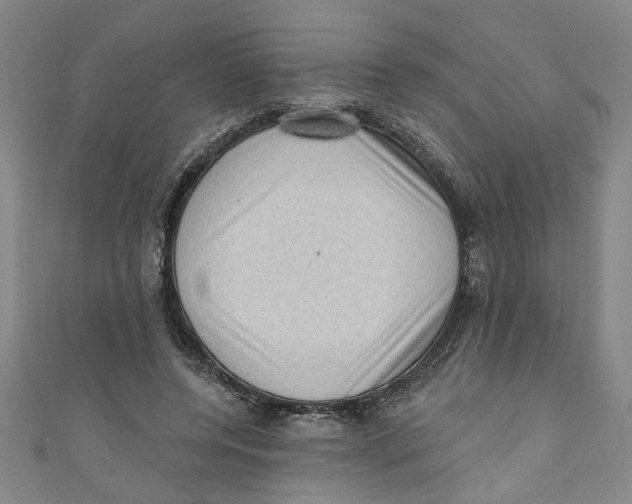 X0000110940544200907101249