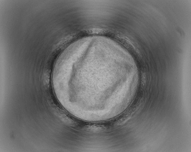X0000110940545200907101249