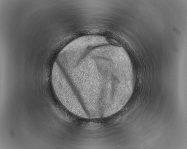 X0000110940546200907101249