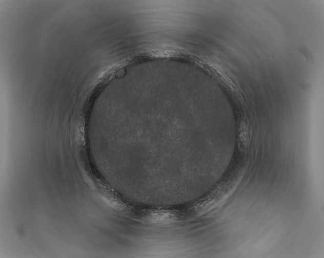 X0000110940547200907101249