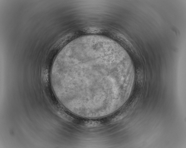 X0000110940549200907101249