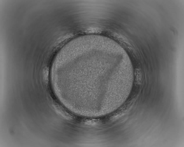 X0000110940550200907101249