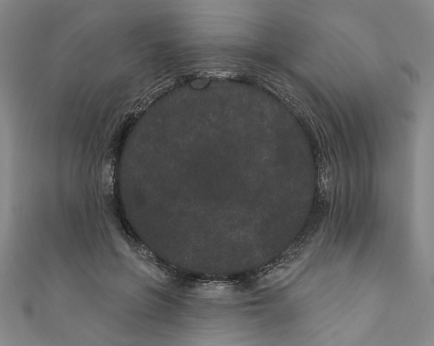X0000110940551200907101249