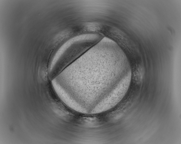 X0000110940552200907101249