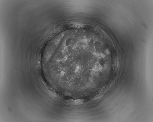 X0000110940553200907101249