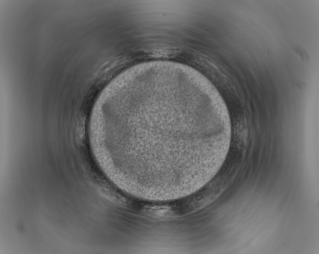 X0000110940554200907101249
