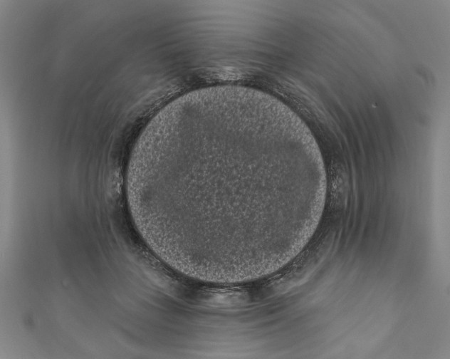 X0000110940555200907101249